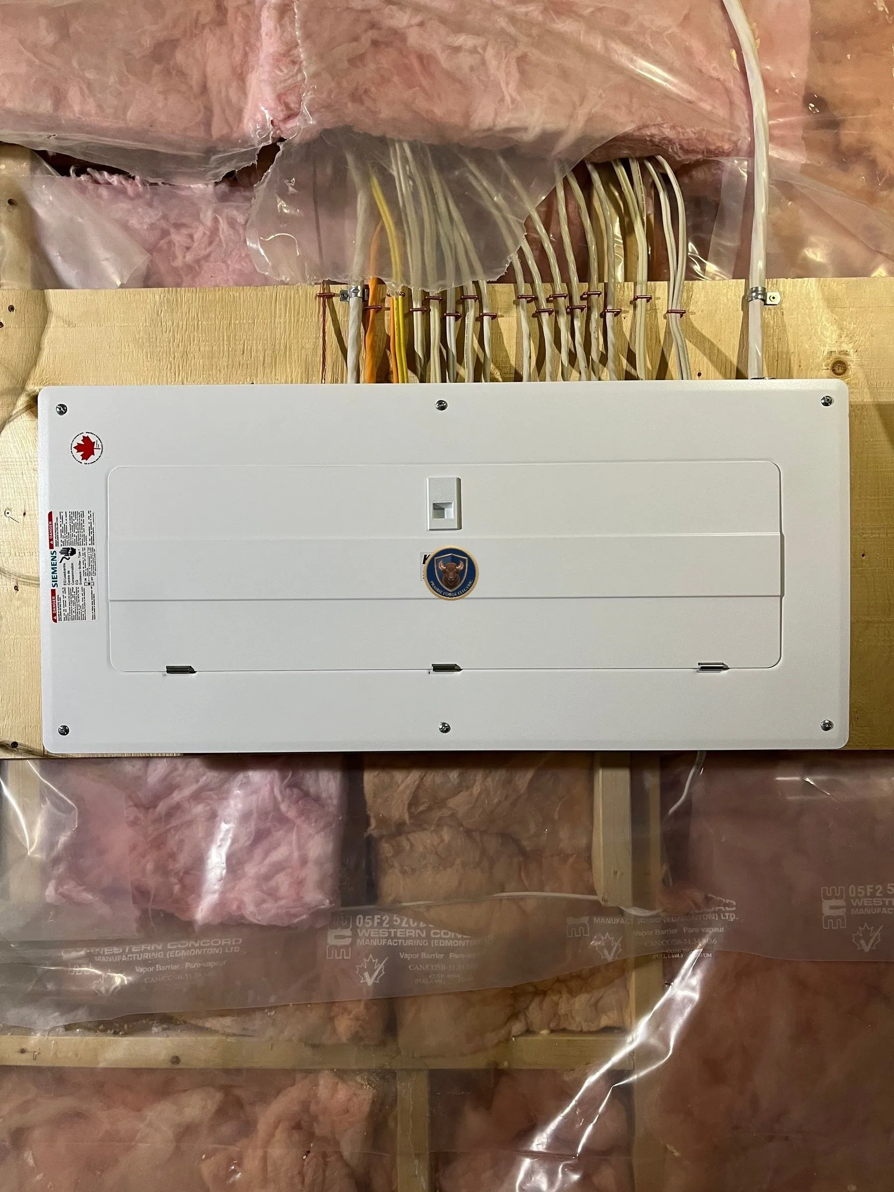 Panel Upgrade & Service Upgrade